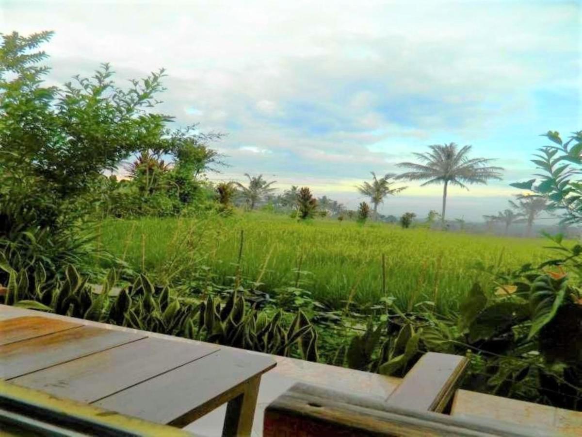 Fida Ijen Crater Guesthouse Licin Eksteriør billede